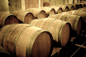 Wine barrels in cellar