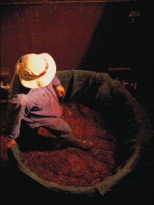 P30284-032-Bitmap-RGBLarge