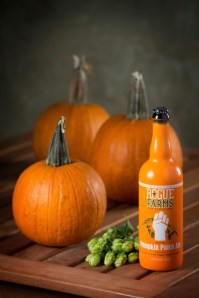 Pumpkin Patch Ale Product Shot