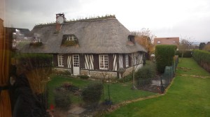 Norman Cottage with Thatch Roof
