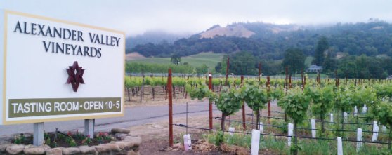 AlexanderValley_Vineyard