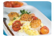 seared-scallops