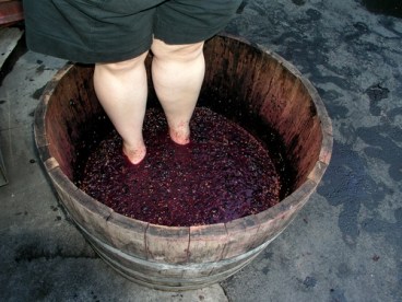 Grape stomping