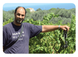Riccaro Cotarella winemaker