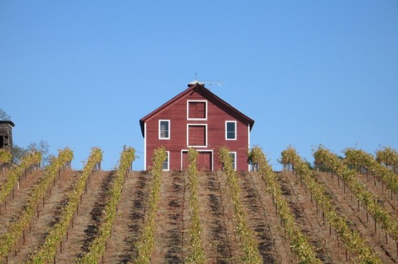 Peterson red barn Sonoma