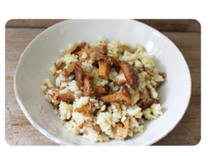 wild mushroom risotto