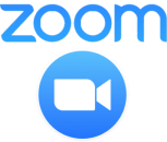 Zoom logo