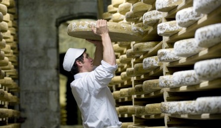 Comté Cheese Production