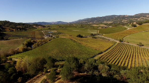 napa-valley-goldschmidt-vineyards