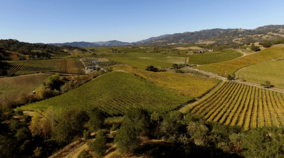 napa-valley-goldschmidt-vineyards