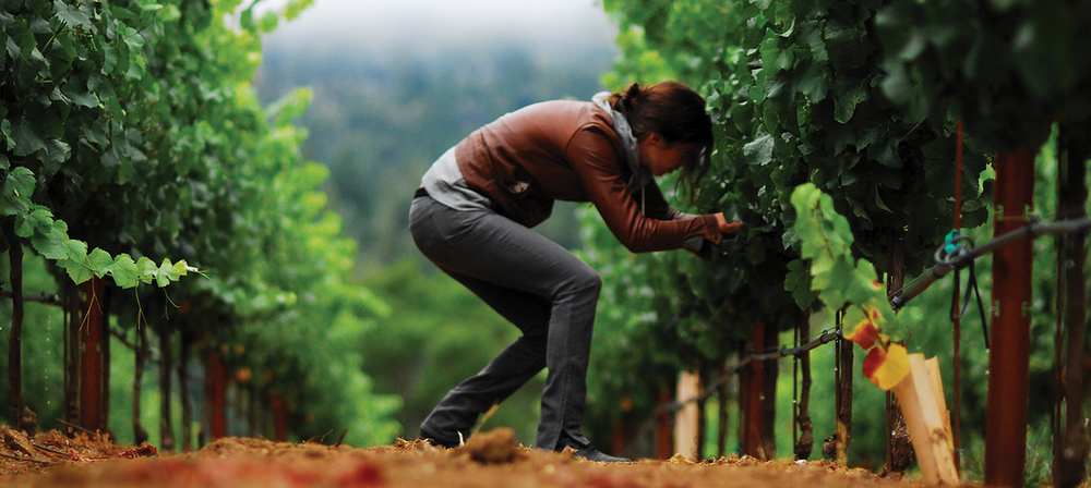 Owner/Winemaker Sam Poe Sheehan