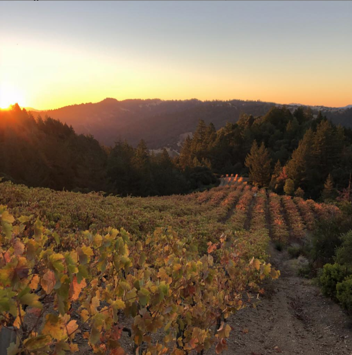 Screen Shot 2020-07-20 at 6.38.33 PM