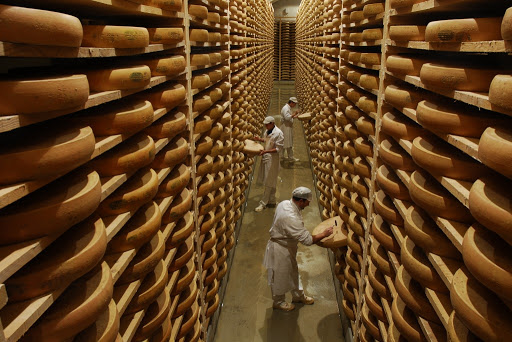 Comté Production