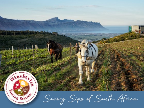 Savory Sips of South Africa