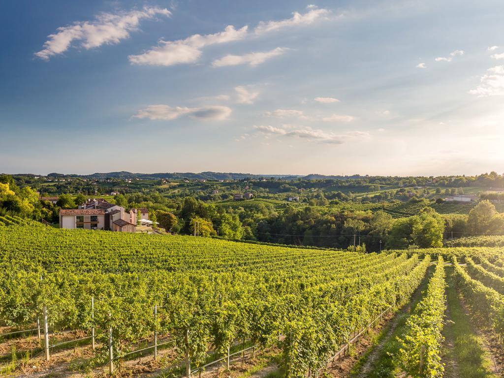 Cantina Pizzolato Organic Vineyards