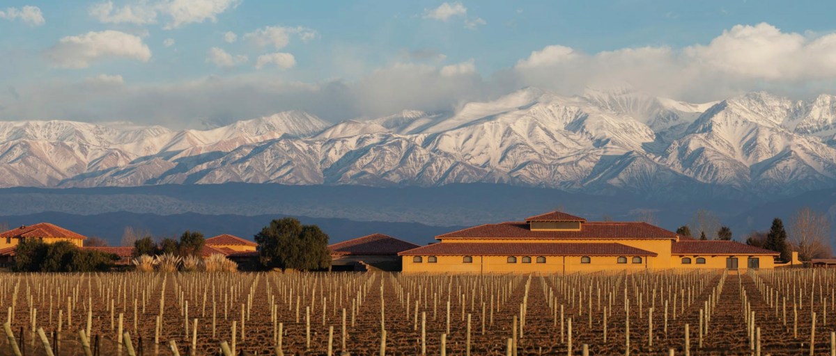 winery-landscape-large