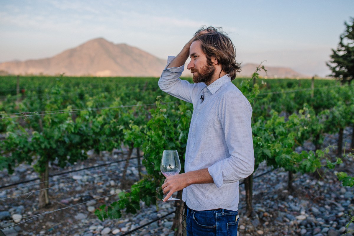 © Photo by De Martino Winery - Sebastián De Martino