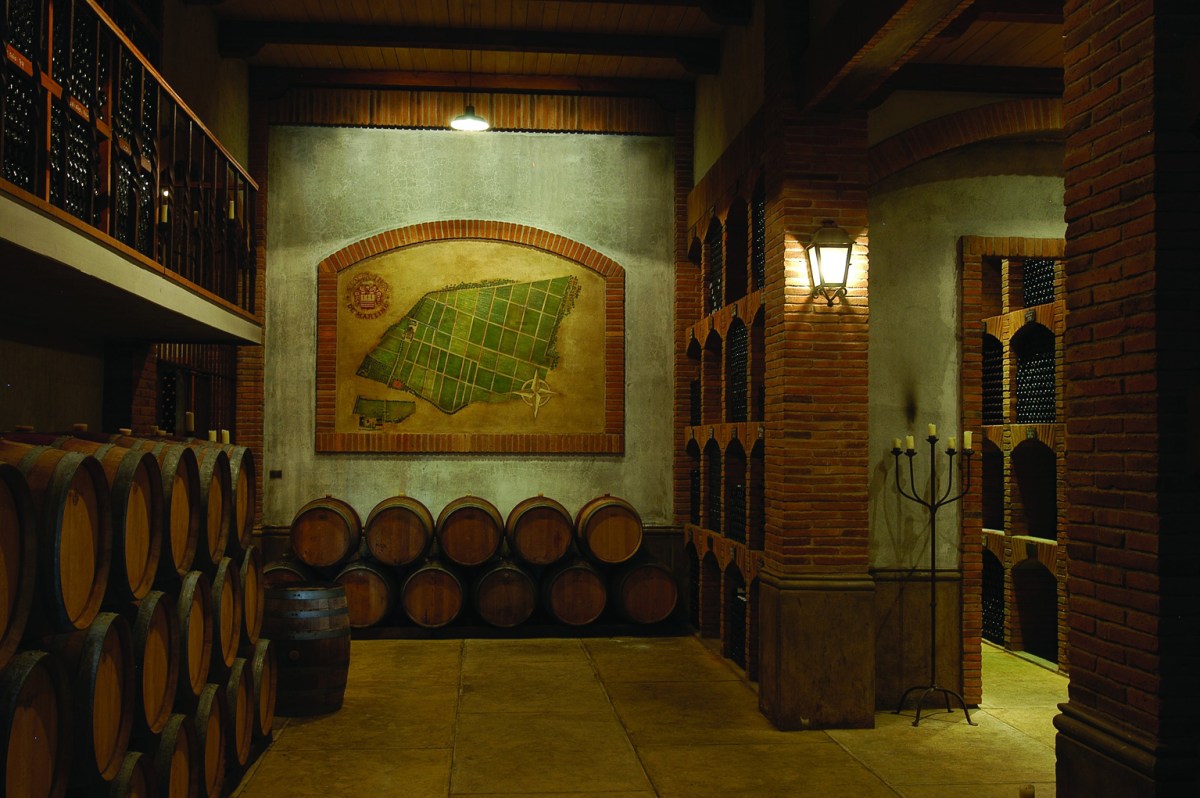 © Photo by De Martino Winery