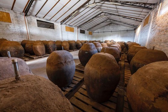 De Martino Terracotta wine vessels