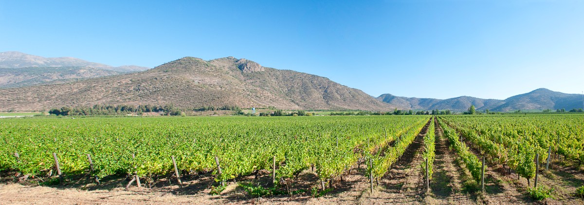 Cachapoal Valley