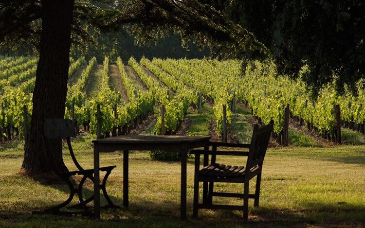 de-bel-air-vignoble-750