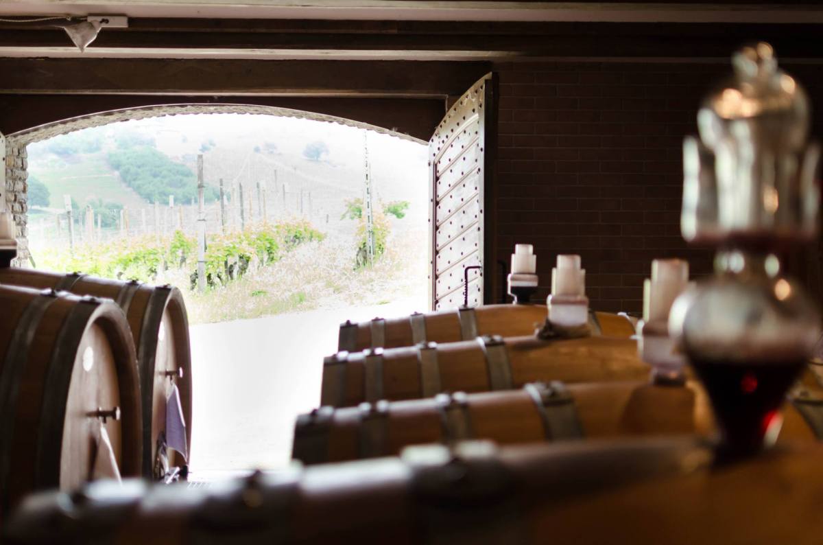 © Photo by Luca Bosio Vineyards