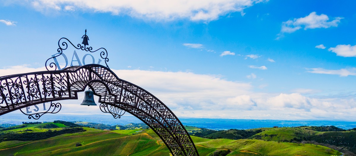 © Photo by DAOU Vineyards