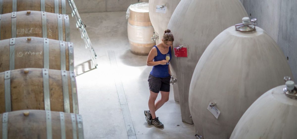 © Photo by False Bay Vineyards