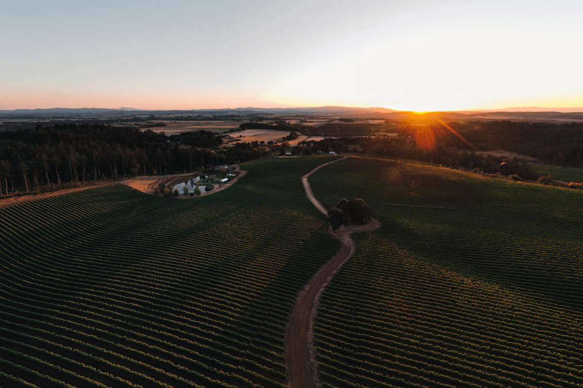 © Photo by Eola Hills