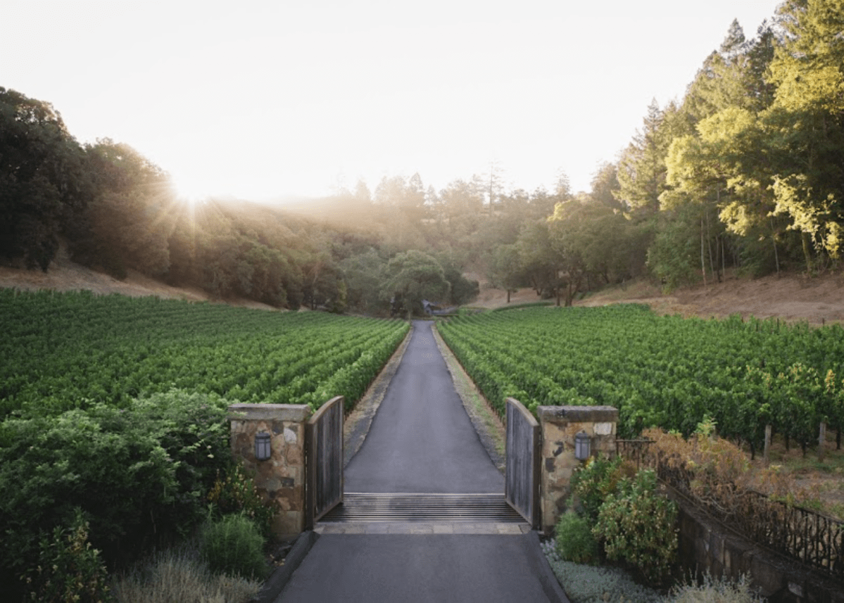 © Photo by Amulet Estate