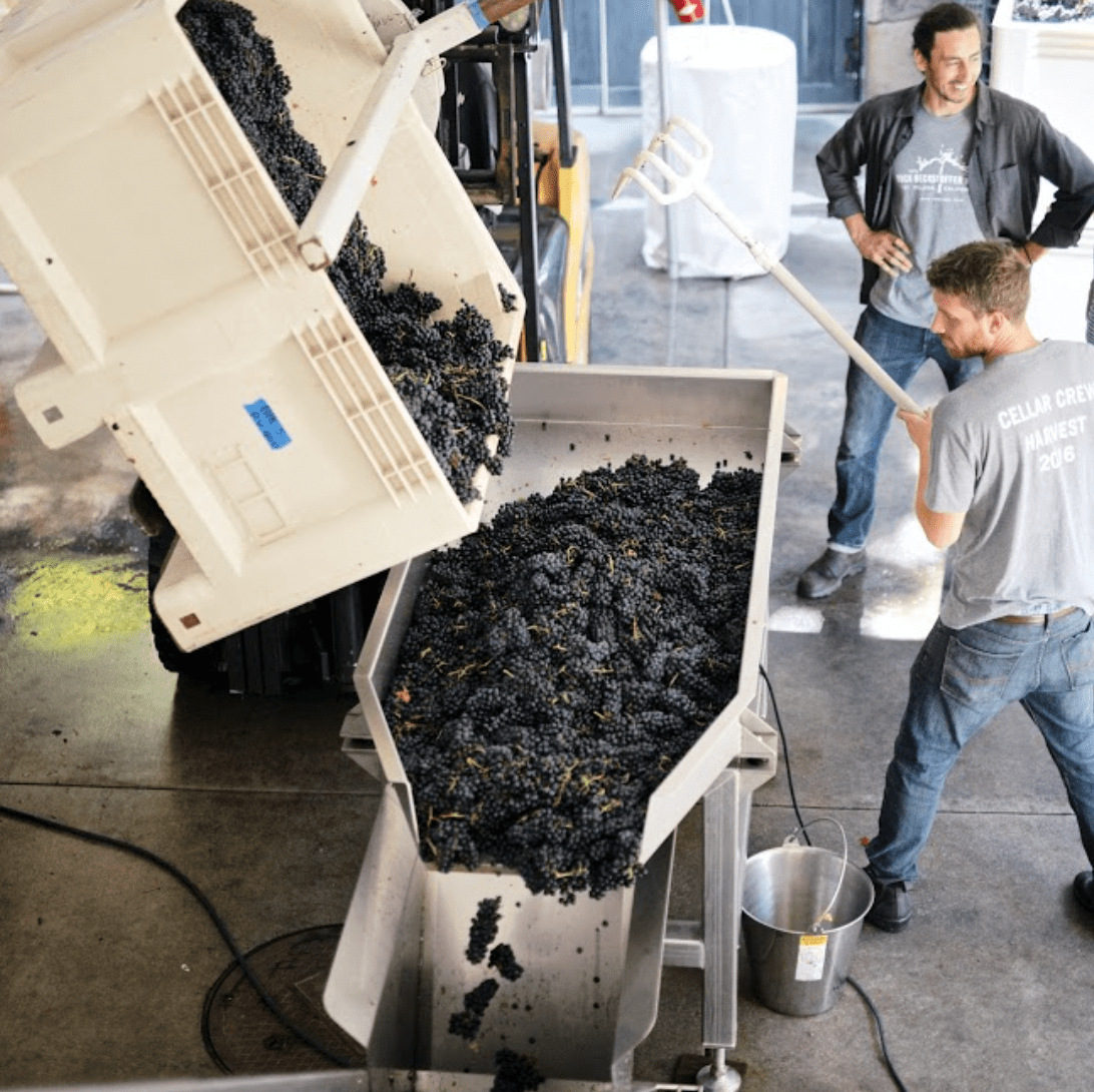 © Photo by Amulet Estate