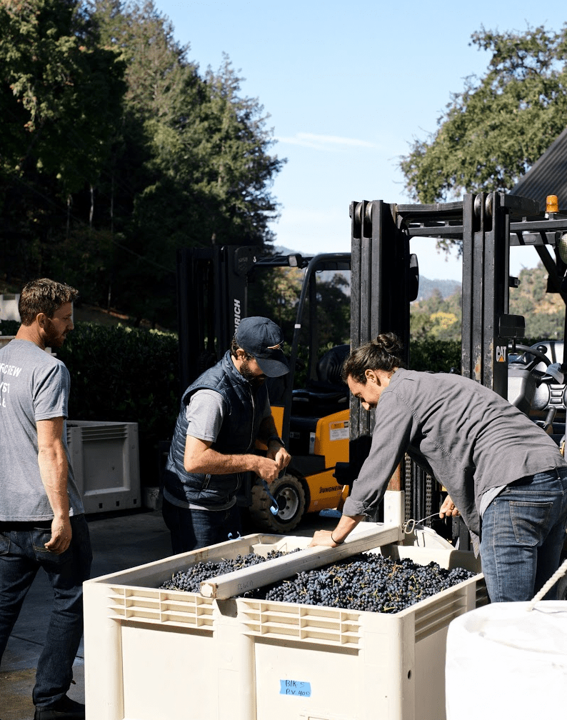 © Photo by Amulet Estate