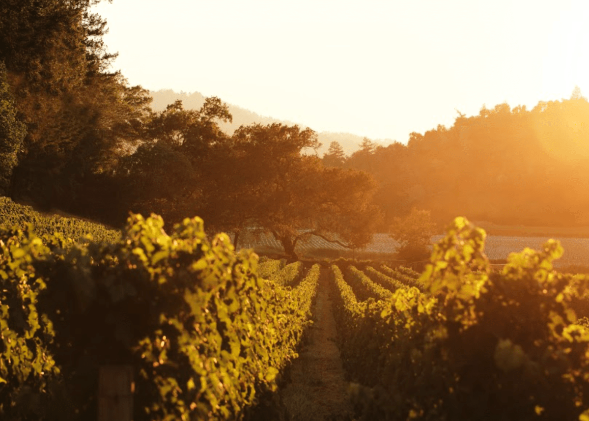 © Photo by Amulet Estate