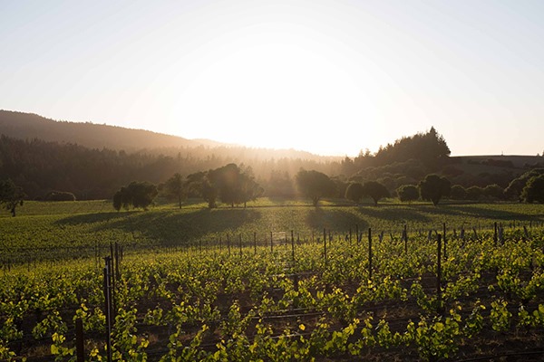 Anderson Valley_Photo Grab