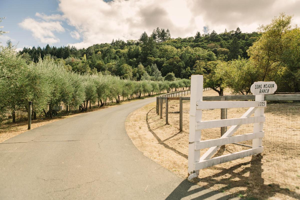 Long Meadow Ranch