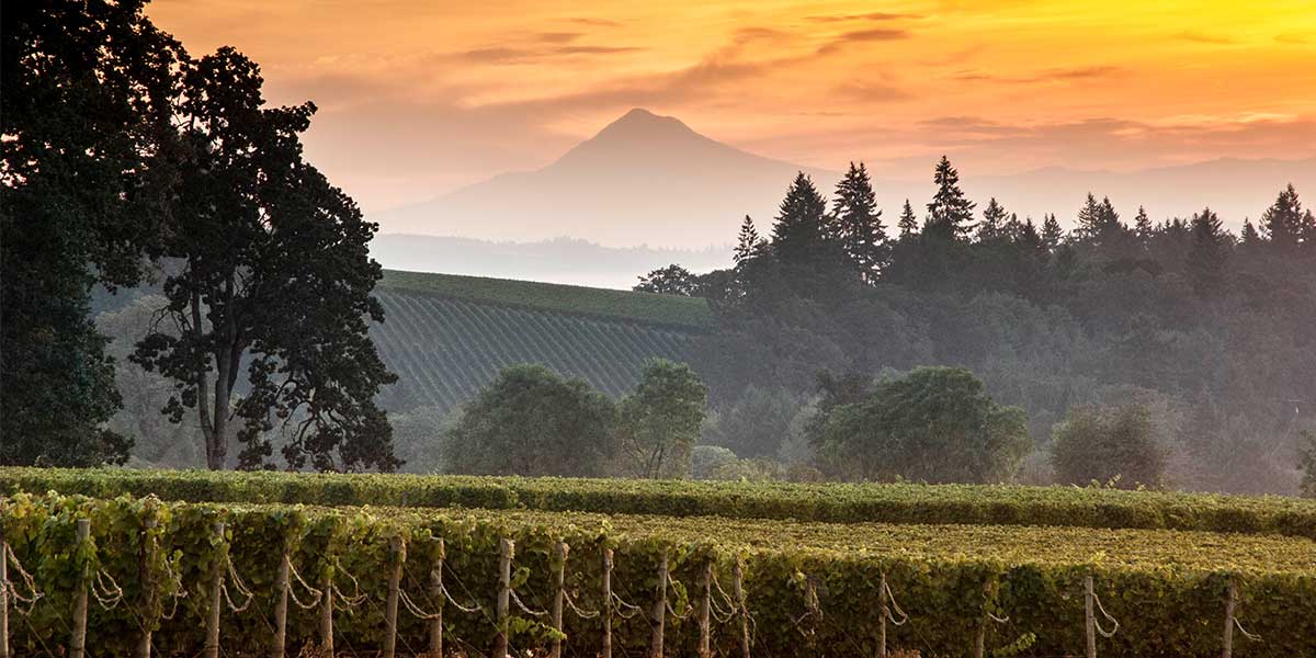 Stoller-Trade-and-Media