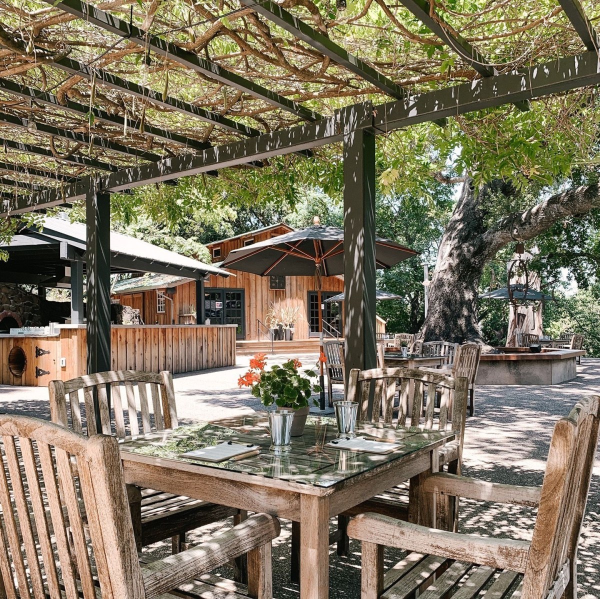 © Photo by Benziger Family Winery