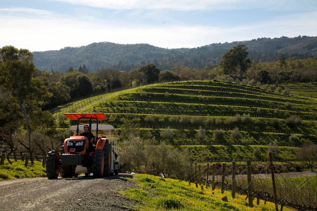 © Photo by Benziger Family Winery