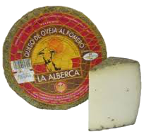 © Photo by Cheesey Marie