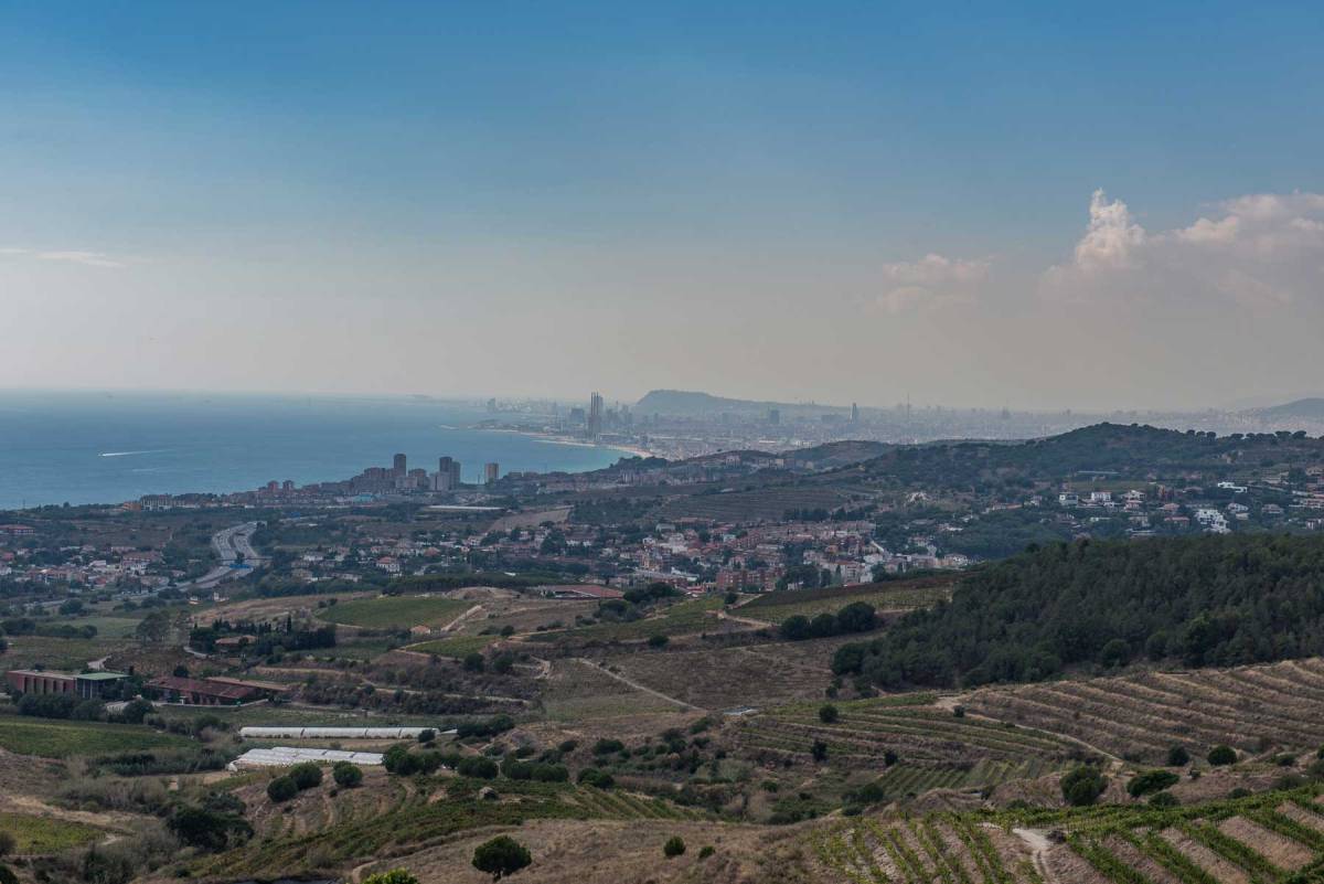 ozfoto_Alella_Vinicola-136-1