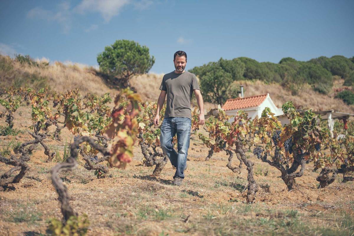 ozfoto_Alella_Vinicola-193-1