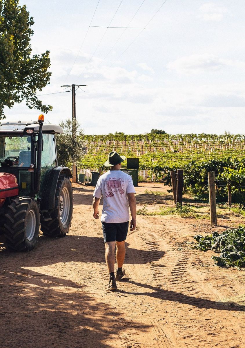 Delinquente Vineyard