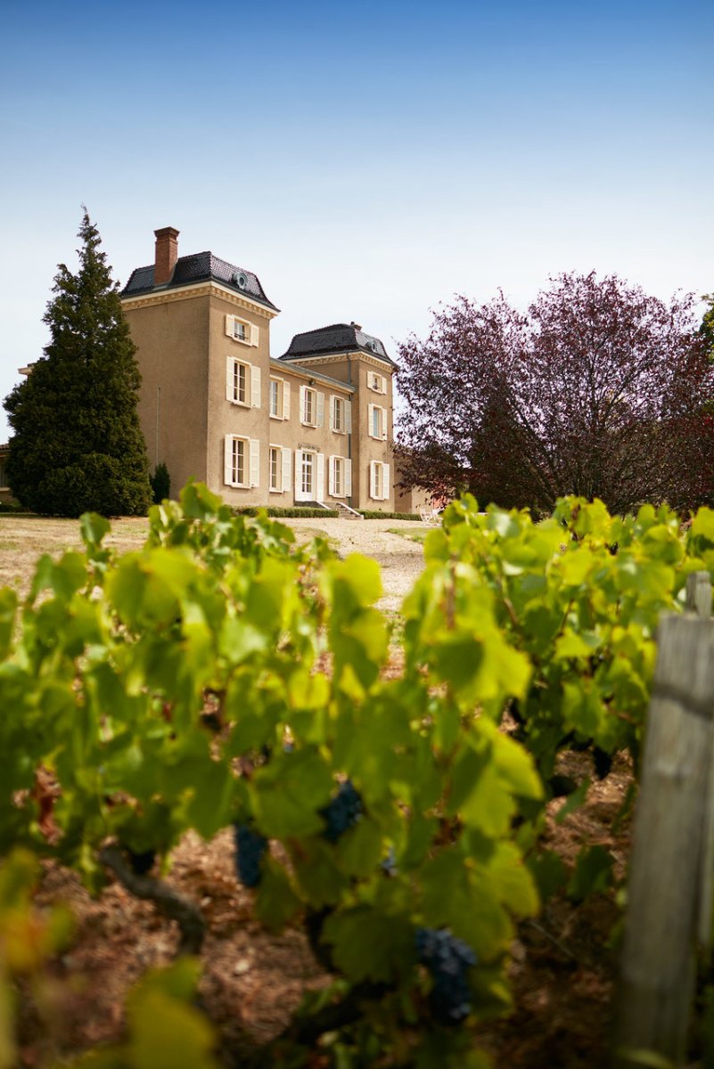 © Photo by Henry Fessy