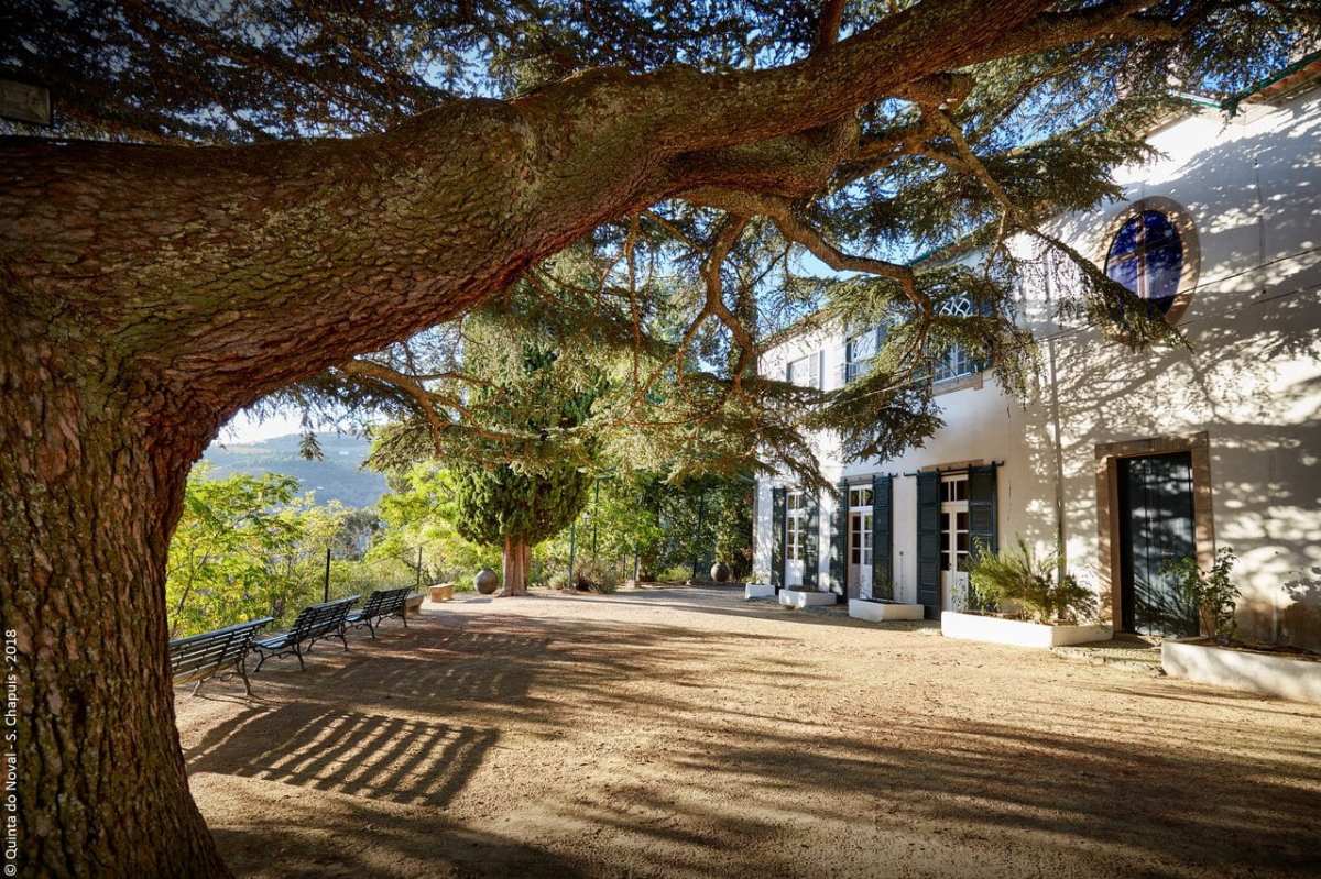 image-moyen-vila-nova-de-gaia_1_c