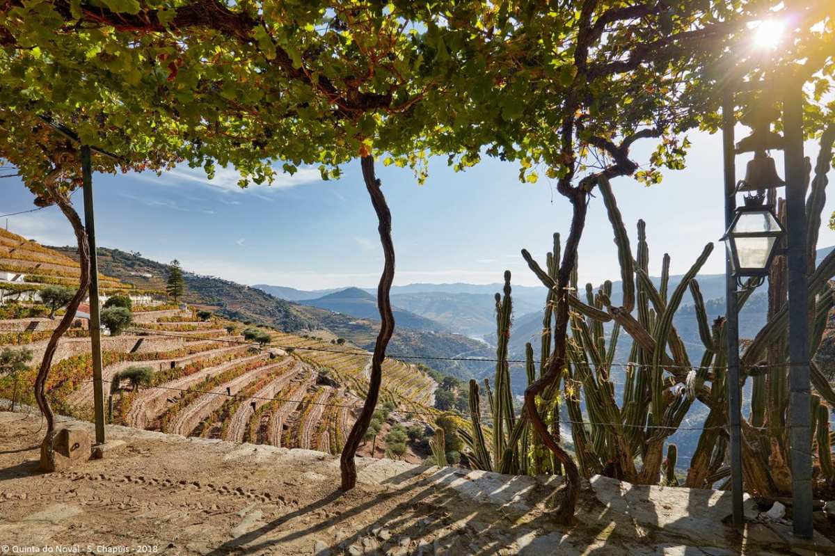 image-moyen-vila-nova-de-gaia_1_c