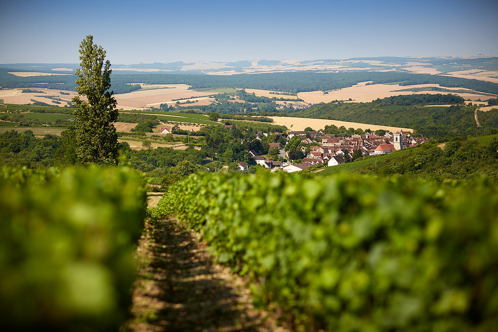 © Photo Simonnet-Febvre