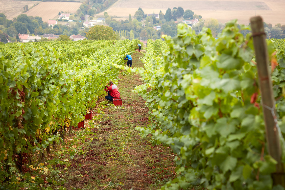 © Photo Simonnet-Febvre