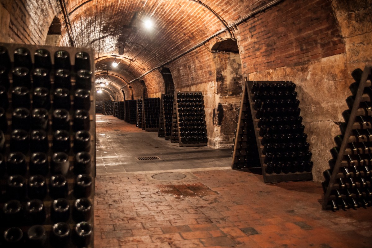 Cellar 3_Laurent-Perrier