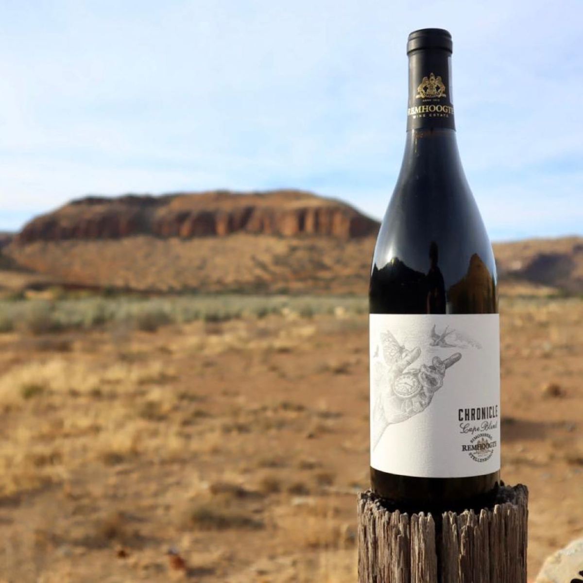 Wine-winery-landscape