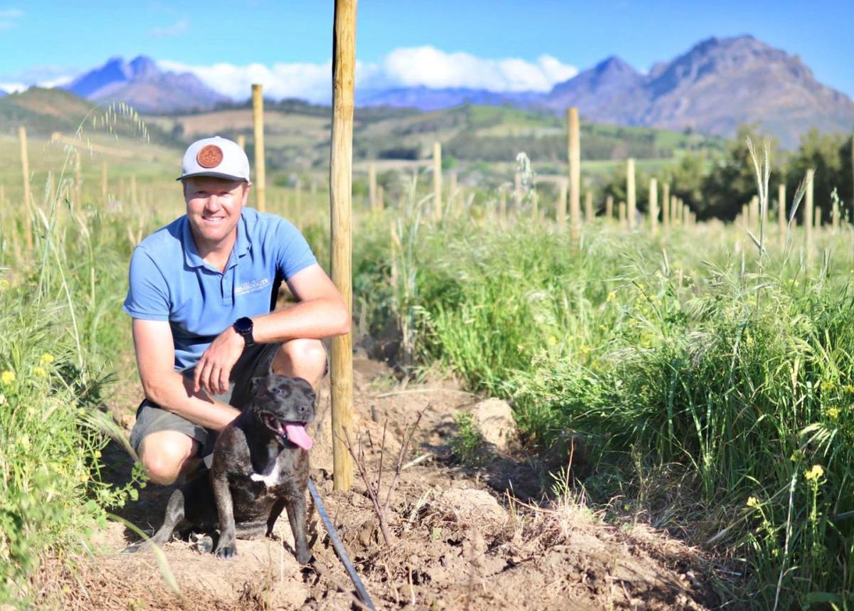 chris-boustred-vineyard